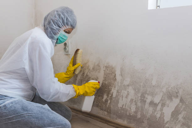 Crawl Space Mold Removal in Plainedge, NY